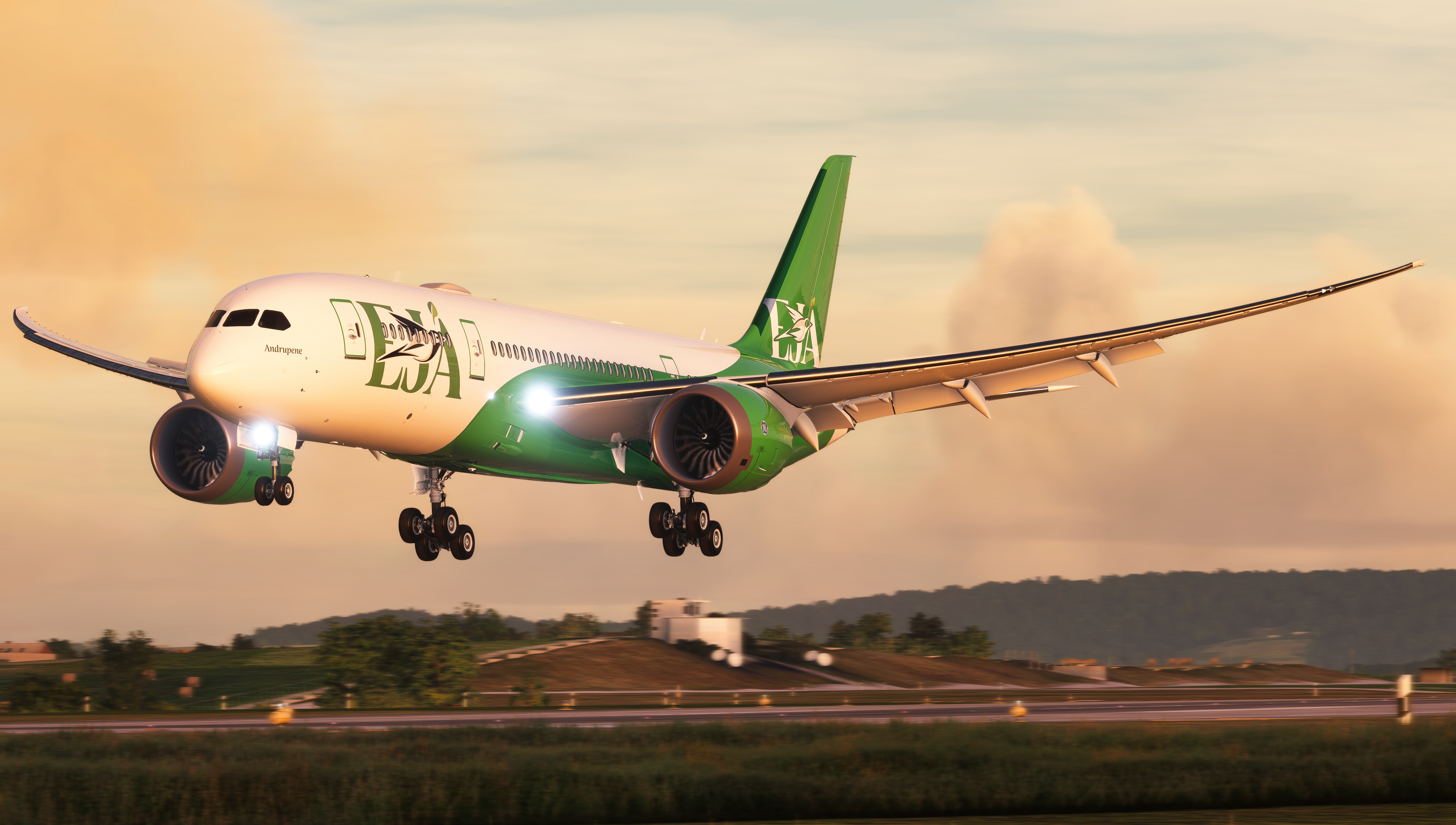 787-8 Dreamliner
