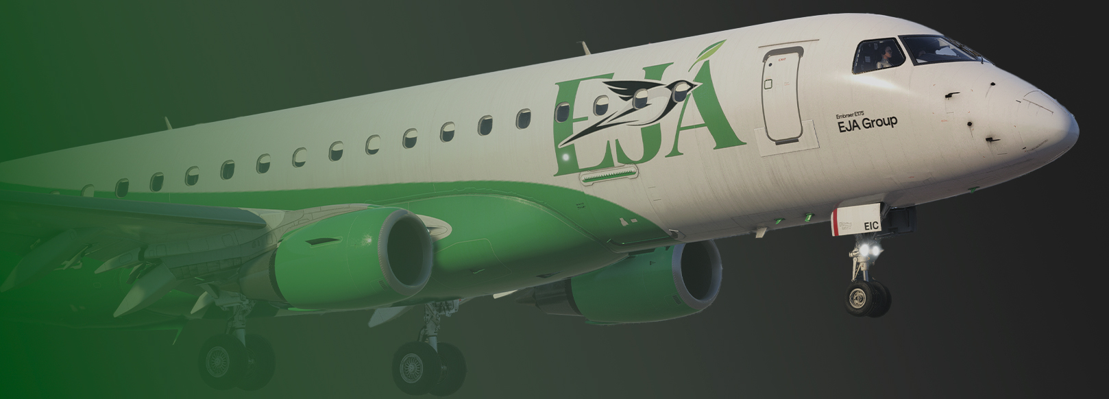 Embraer E175 Long Winglet